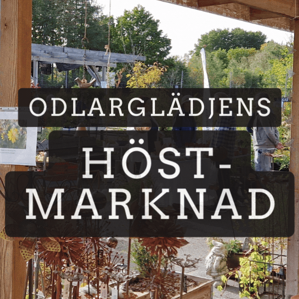 Marknad Höstmarknad